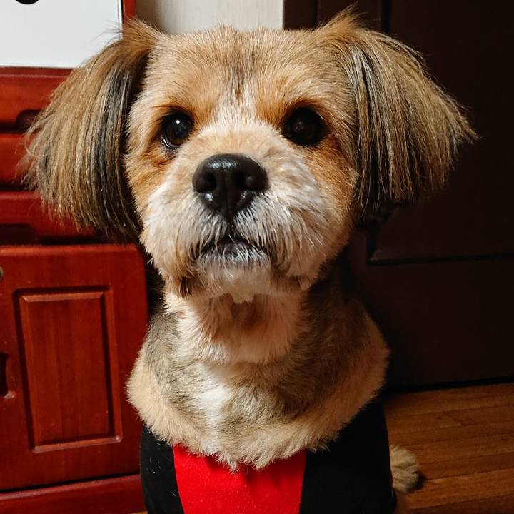 40f9d435 a4c3 4c37 a846 dd0a5b38cdac 1574170222497