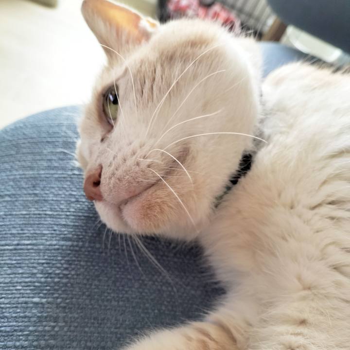 40fa3af3 6376 4928 92ba b1080d0e8ead 1688941034790