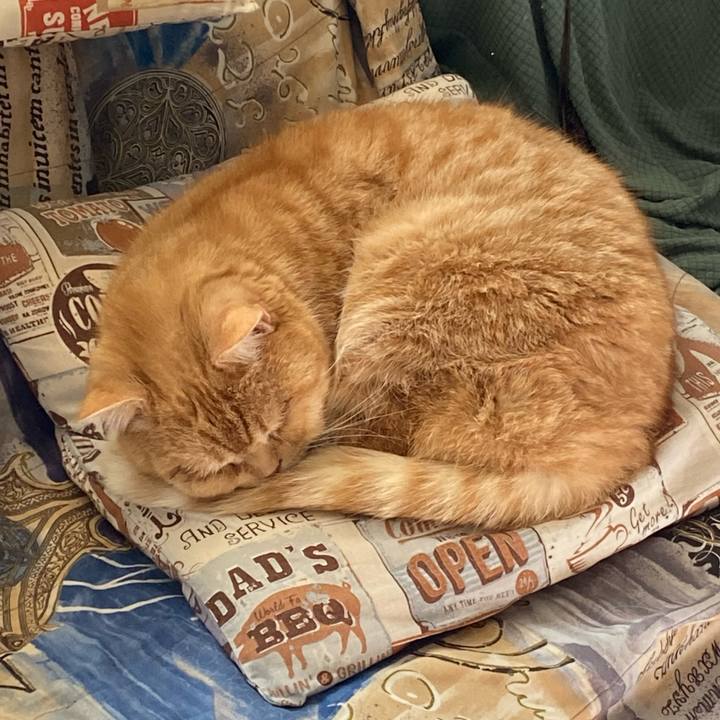 40fa79ea 0d08 42a0 ab76 bcbbf642500d 1645757314024