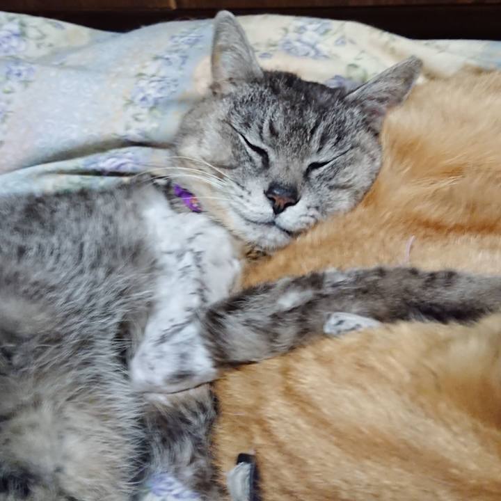 40fa89f7 ba1e 42dc aa35 94c25e4384bb 1589200052458