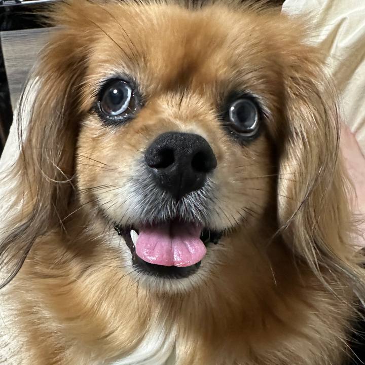 40fa9dc0 e7f2 4991 b739 1e44bbce8920 1719694863263