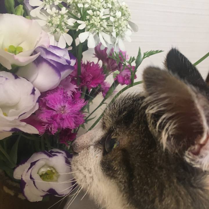 40fab583 05fb 4981 91a3 8df1b0d4d316 1528156232600