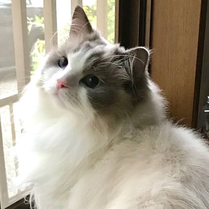 40fac0c6 f579 46ba adda 1cf85b332405 1598005425149