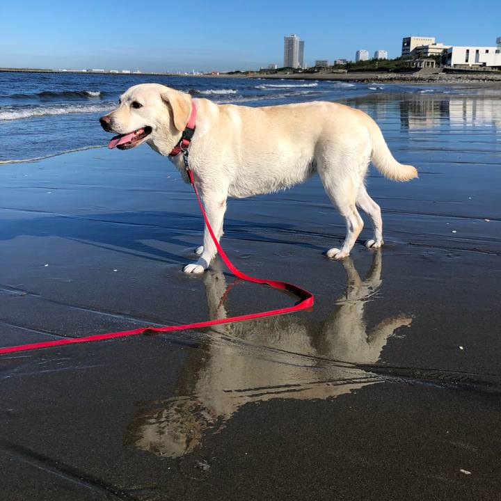 40fb2688 eff0 431b b929 021aa2740ab0 1629434446496