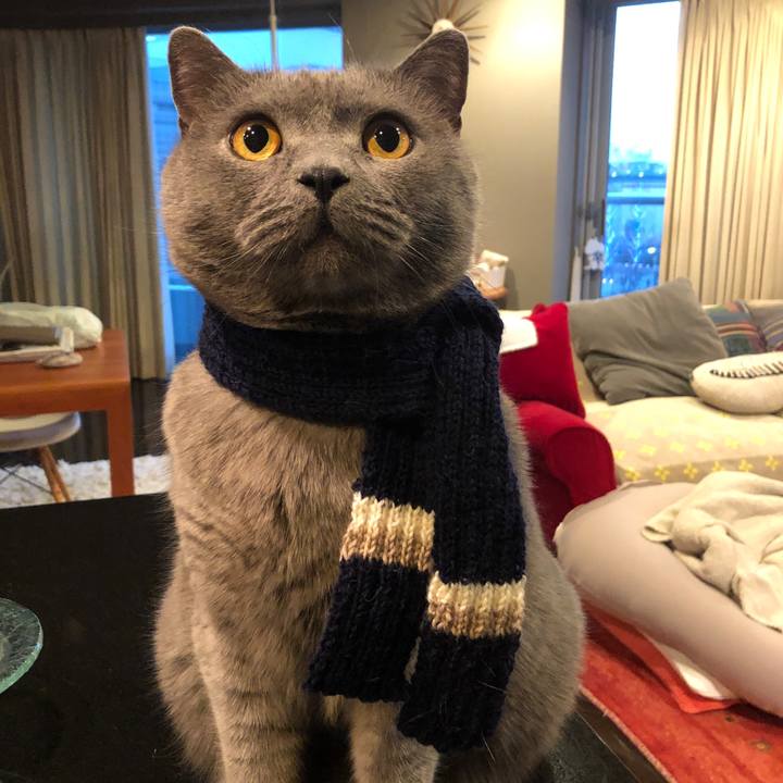 40fb2bd0 1c3b 4893 b711 2aa54f774950 1550803841539