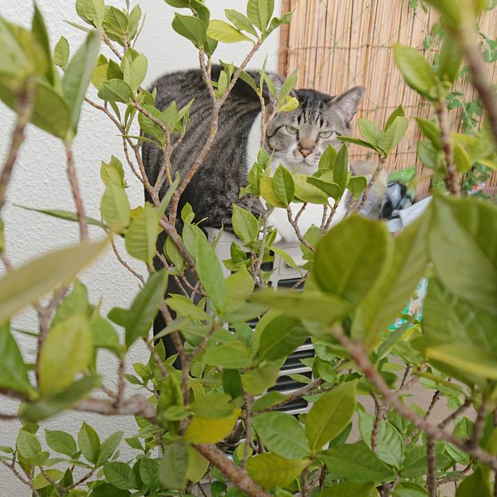 40fb2d35 dabb 4286 aa92 6baf378520d5 1577409328209