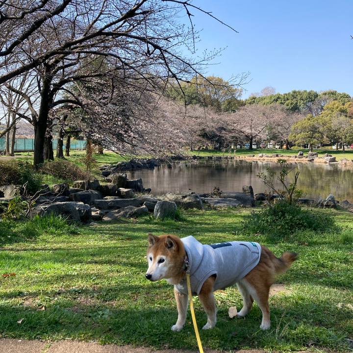 40fb5bc7 3e3a 4831 9a42 bda0d2da7b00 1774338637180