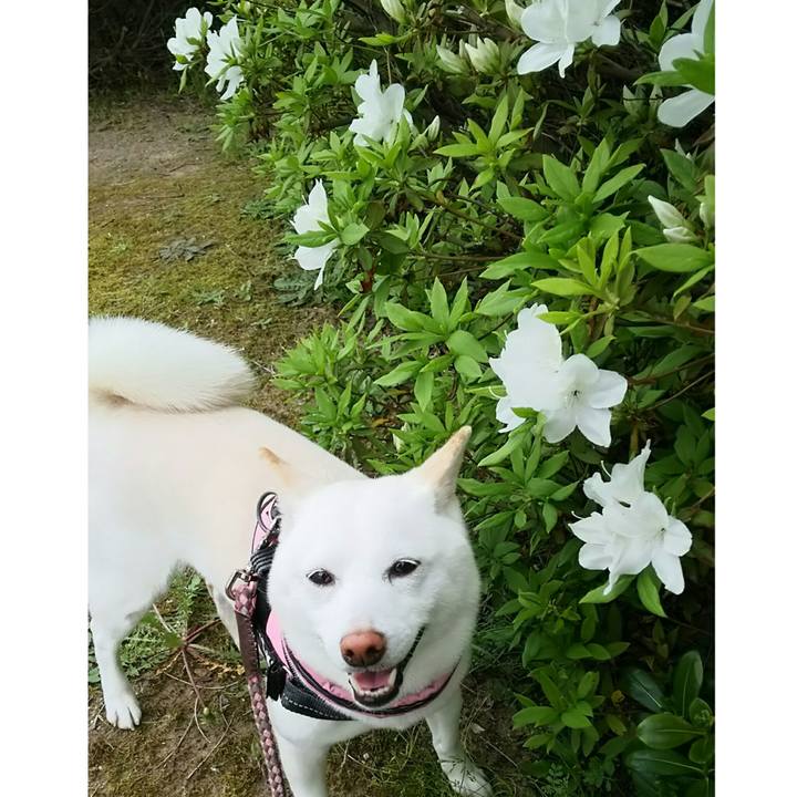 40fb5f85 b436 441c 9a8a 57d950c80adc 1525080835426