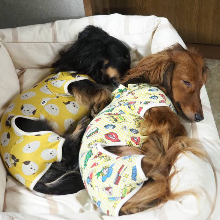 40fb8d31 7b0c 48d9 b34d 3fd4095a7d93 1728218348935