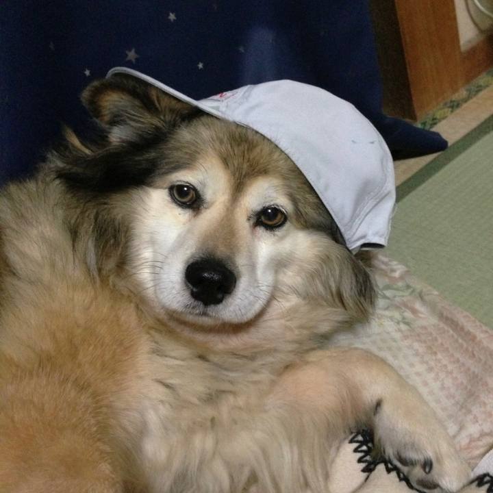 40fb9dec adca 4f11 a506 d4c0399bddb1 1613029137403