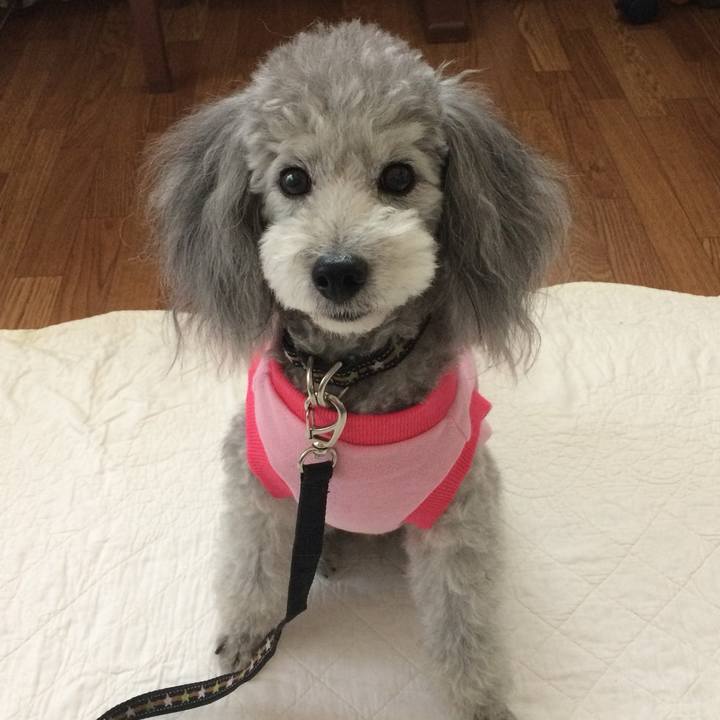 40fbb59c 945b 435f ad1d c46c43cbf9e7 1764635545050