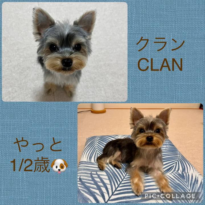 40fbd964 3ea7 49e2 8417 f580c905cda1 1755355245352
