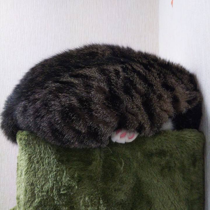 40fc0560 f509 4f2d a9d3 6d9b5f536952 1627802227266