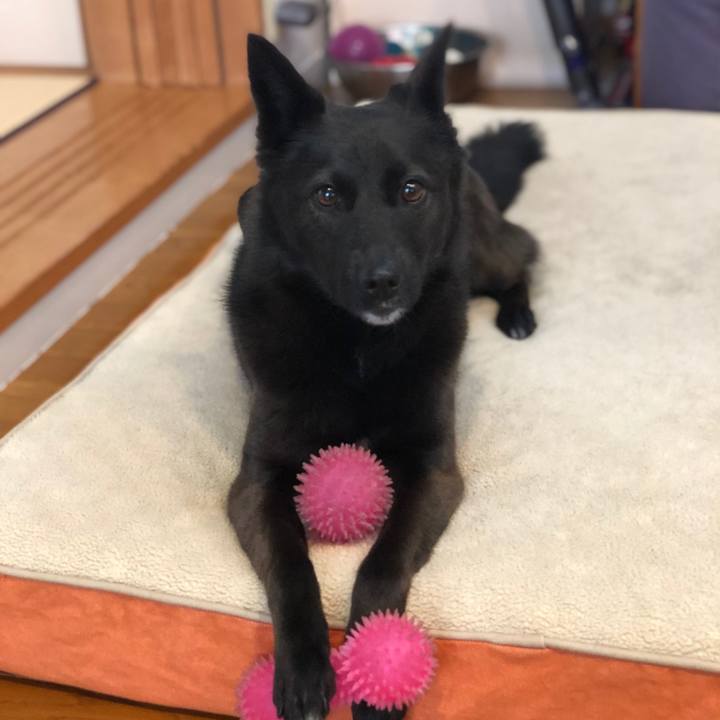 40fc3703 cb4e 4caa b517 b7b46ff16485 1555285945713