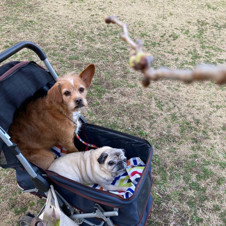 40fc3985 35c0 40ab 9abe a6dbe17ea855 1615376267652