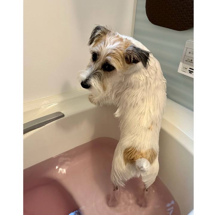 40fc43db ef63 44a3 8efe 4ec6df8ad0c4 1699764904279