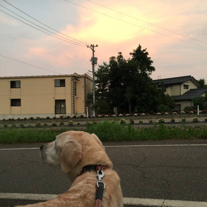 40fc4af7 95ca 45f8 9afa 8f8e60b707cb 1531825494544