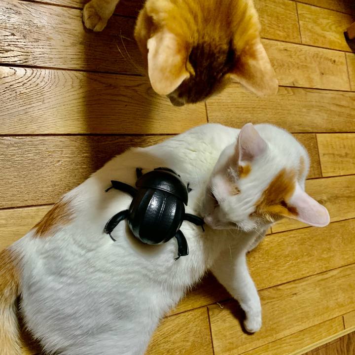 40fc77b0 fe2f 4dbf 98c6 c0215c8b6a47 1609059053561