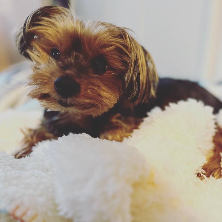 40fcbd37 1547 407a 9ad7 0d5961d55bb9 1666682444707