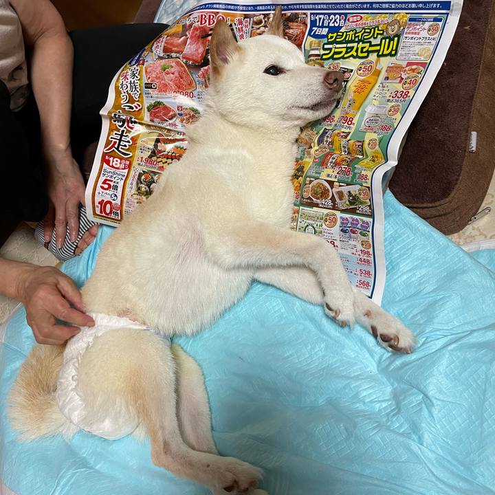 40fccede 16ca 4155 bc35 959e229c15b2 1663504775963