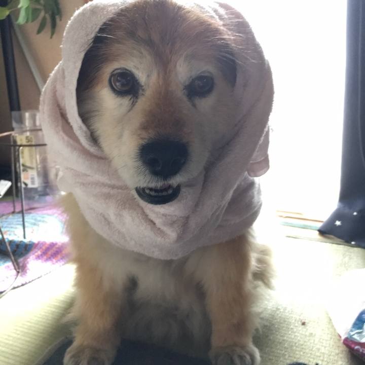 40fce831 5762 4240 8c20 6123ca869b57 1549684415015