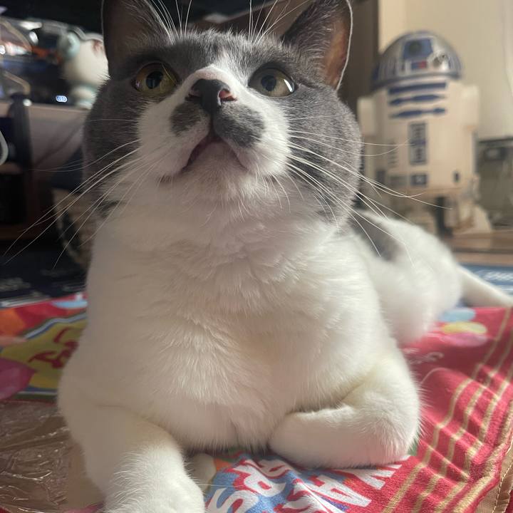 40fd7c45 37ac 4f8b 8eb9 153f0b02cc1c 1693296460119