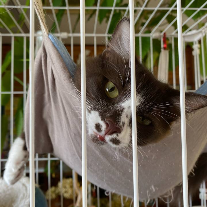 40fd971b f07a 46cf 9e01 d32c9033668c 1697338238406