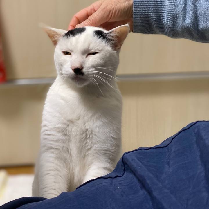 40fdfc1b fb58 47ef 9c04 5cdd5fa88a6f 1604571246160