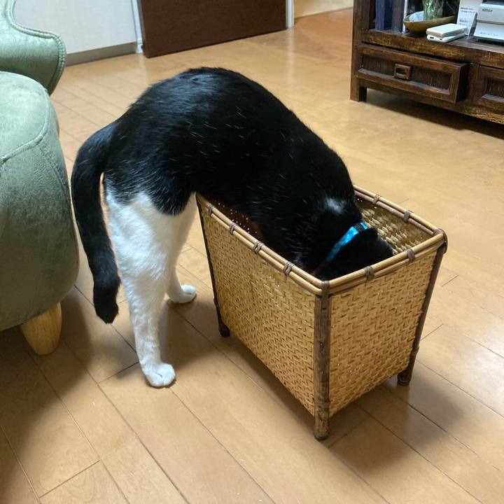 40fe0fd5 477b 41b1 9915 10faff386480 1722270642551