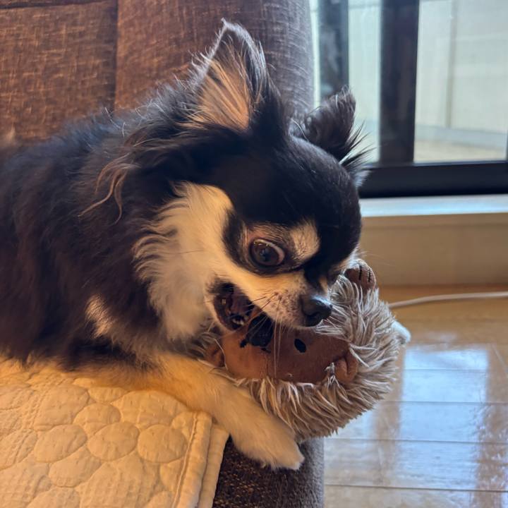 40fe394c 9798 4317 af90 4ab7743c84e9 1754756660275