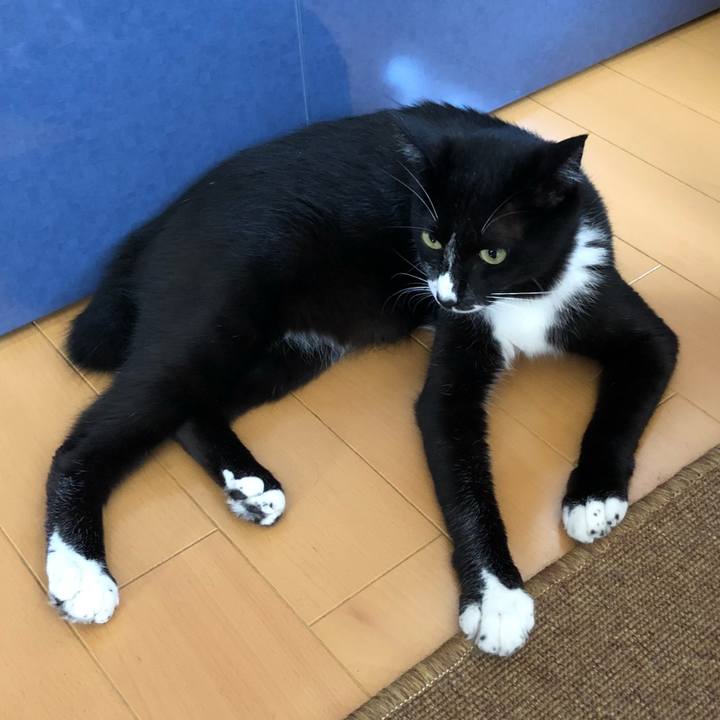 40fe7b1f 46e5 4b7b bc7d 074e31087414 1530588044511