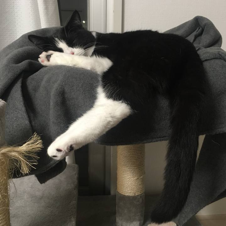 40fe84f0 658c 48f0 b436 3f46465d922a 1570977844910