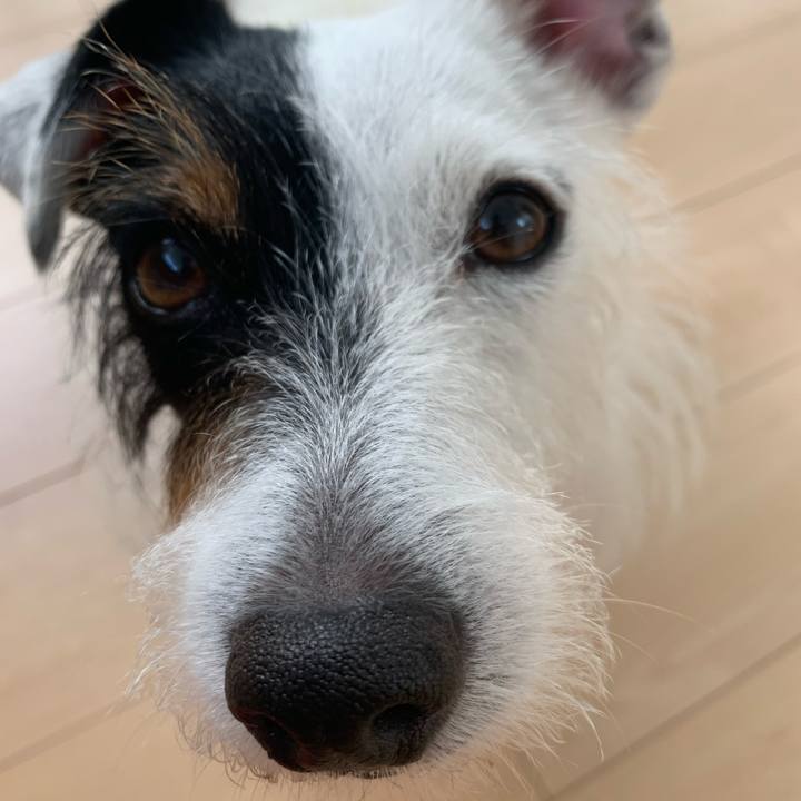 40fea24c 0d29 41ad 883f 1e7c1ea35d6e 1598312032601