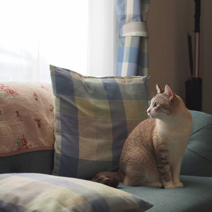 40fec94f 5716 46fd a73e cdfb47a0eabb 1547883048677