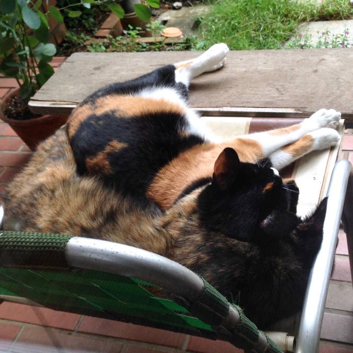 40ff38ca b779 4fec b986 06f5aed6e2ee 1510294776685