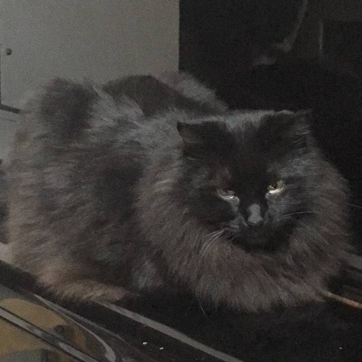 40ff3b66 00be 4bd9 9e0e 79b3662d348a 1546612096059