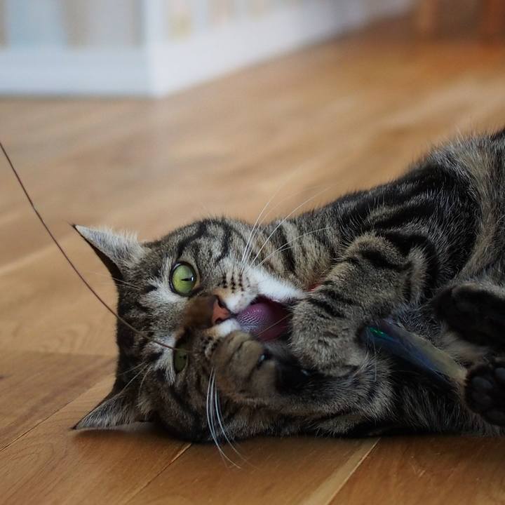 40ff4c7e 2b6e 49ad aafe 4c71c5799e21 1557977906785