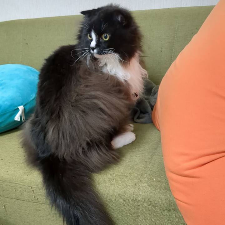 40ff5fbc e391 4918 a2af fec467bade54 1666427943746