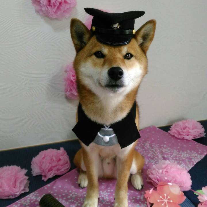 40ff7ddf 6909 4f93 b733 e2dfeb6f47fd 1521170470536