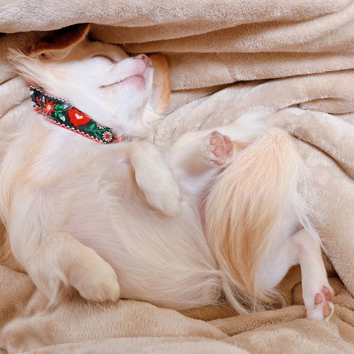 40ff86cc 730a 4cf1 989c 595303f4ca8e 1669799103944