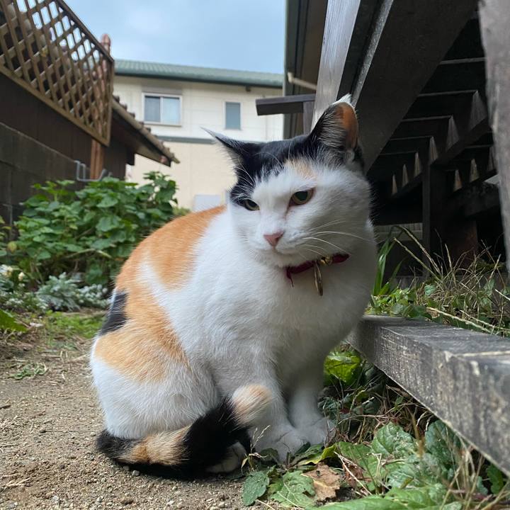 40ff924b a503 4f3d 8297 9431205eb45c 1643320836729