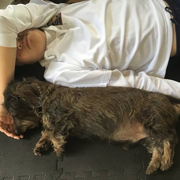 40ff9293 45ba 4a47 8b2a d5476162cb5a 1524986328999