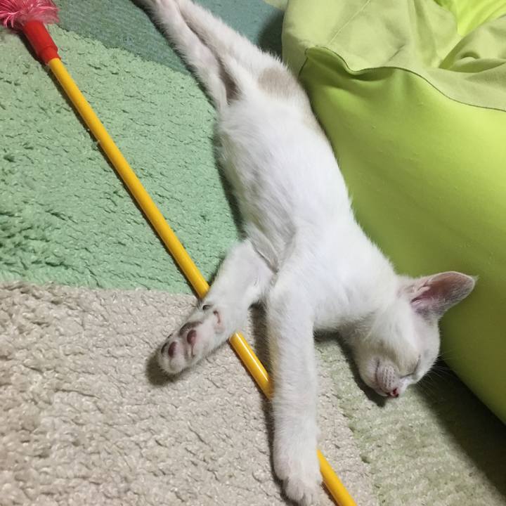 40ffa467 26a3 4ded b8cb c2cb62b89437 1531661263411