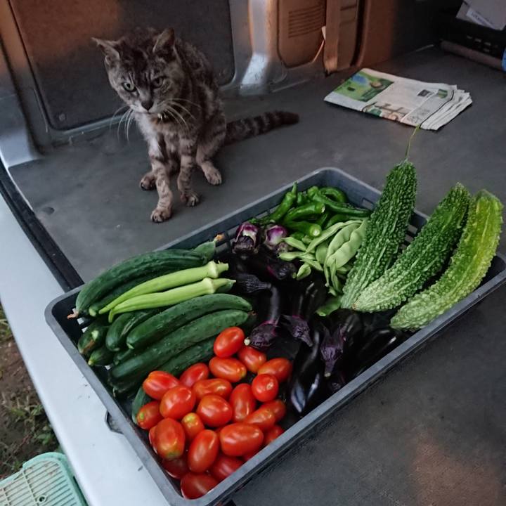 40ffd045 c8d3 4cd4 84a5 3227e83afffb 1597572045080