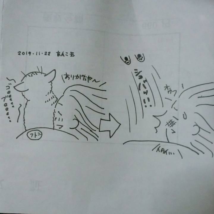 40ffef7a 8467 4a11 8b84 561464418f04 1574420803531