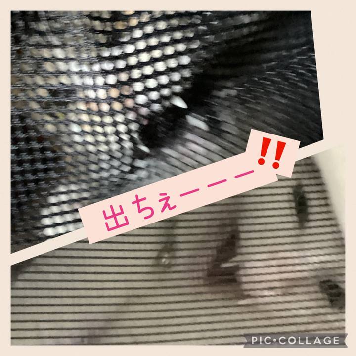 41000805 73e1 4af8 b029 8f04993bd1e7 1666063530324