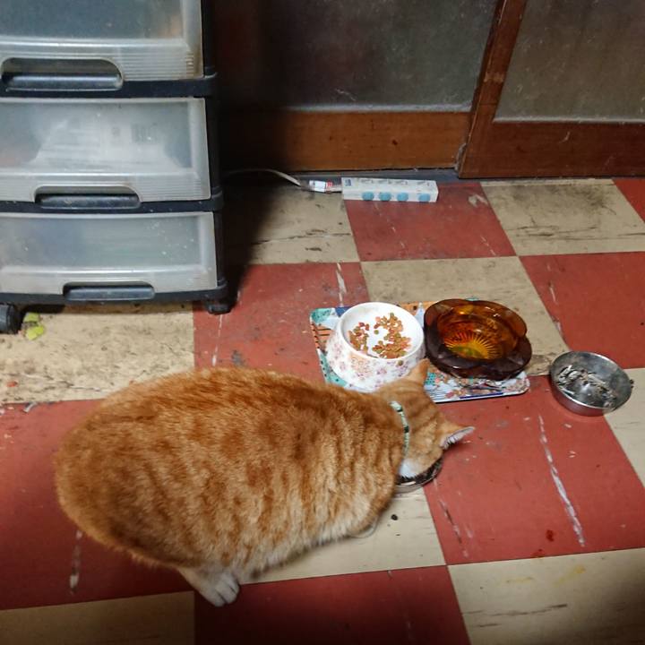 41000eb1 8446 4f20 882e d5866850211a 1585385668005