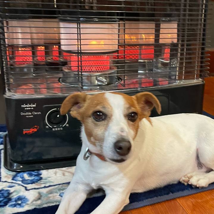 41002821 943e 47f1 b906 db770867fce7 1769142243867