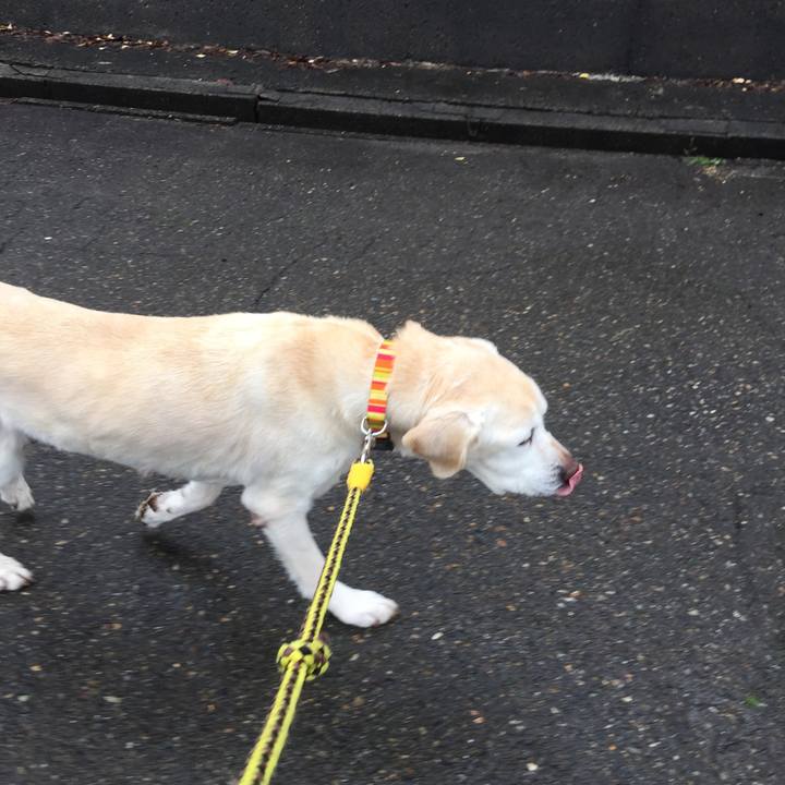 410033f0 35df 446d 9776 ca47dd0e9ff8 1523772525885