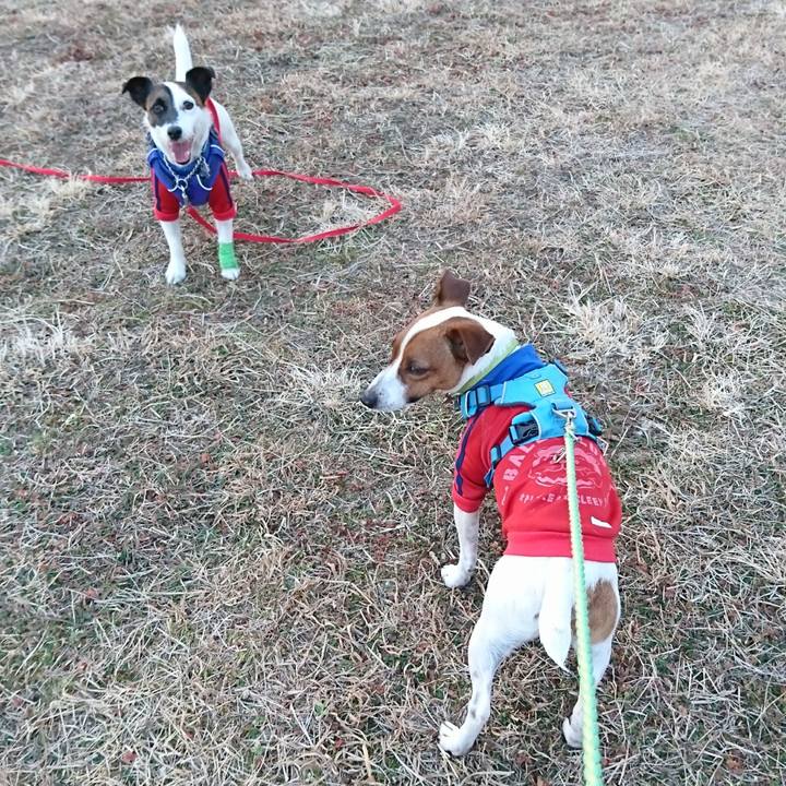 41004086 d4b1 47d9 a9e0 a243aa0c6f11 1612685530412